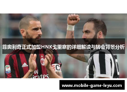 菲奥利奇正式加盟HNK戈里察的详细解读与转会背景分析