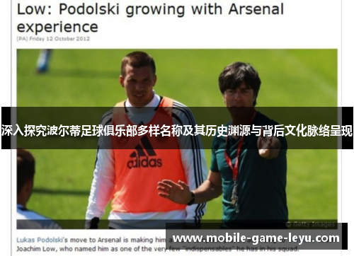 深入探究波尔蒂足球俱乐部多样名称及其历史渊源与背后文化脉络呈现