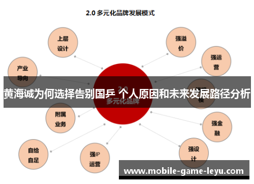 黄海诚为何选择告别国乒 个人原因和未来发展路径分析