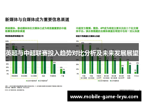 英超与中超联赛投入趋势对比分析及未来发展展望