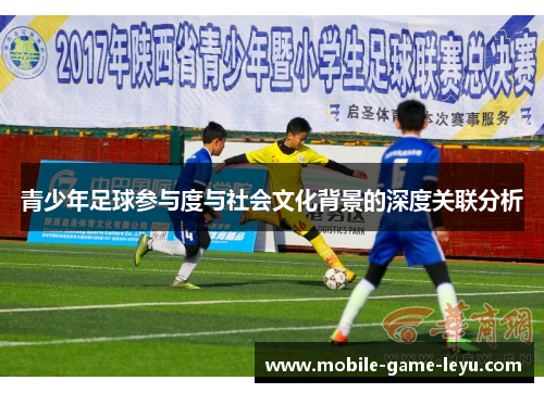 青少年足球参与度与社会文化背景的深度关联分析 青少年足球参与度与社会文化背景的深度关联分析